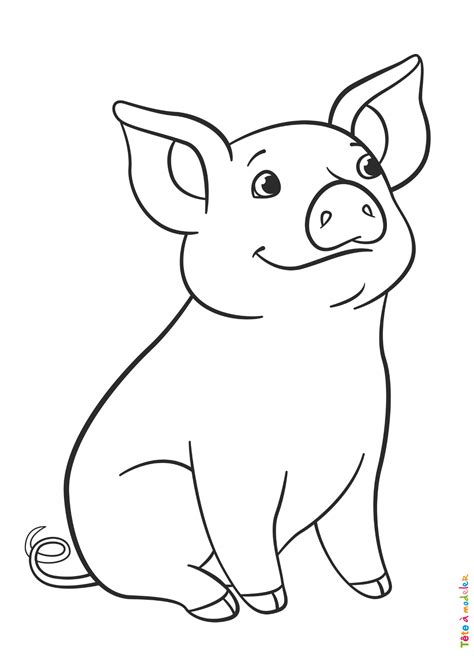 dessin de cochon|dessin de cochon adulte.